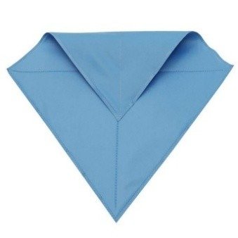 JAS CLEAN UP 100% Lint-Free Cleanroom Mop