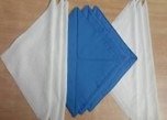 JAS CLEAN UP 100% Lint-Free Cleanroom Mop
